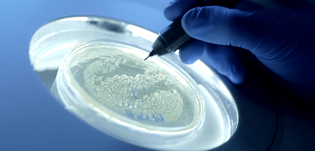 Theradaptive Receives 2024 Best Technology in Spine Award by Orthopedics This&nbsp;Week