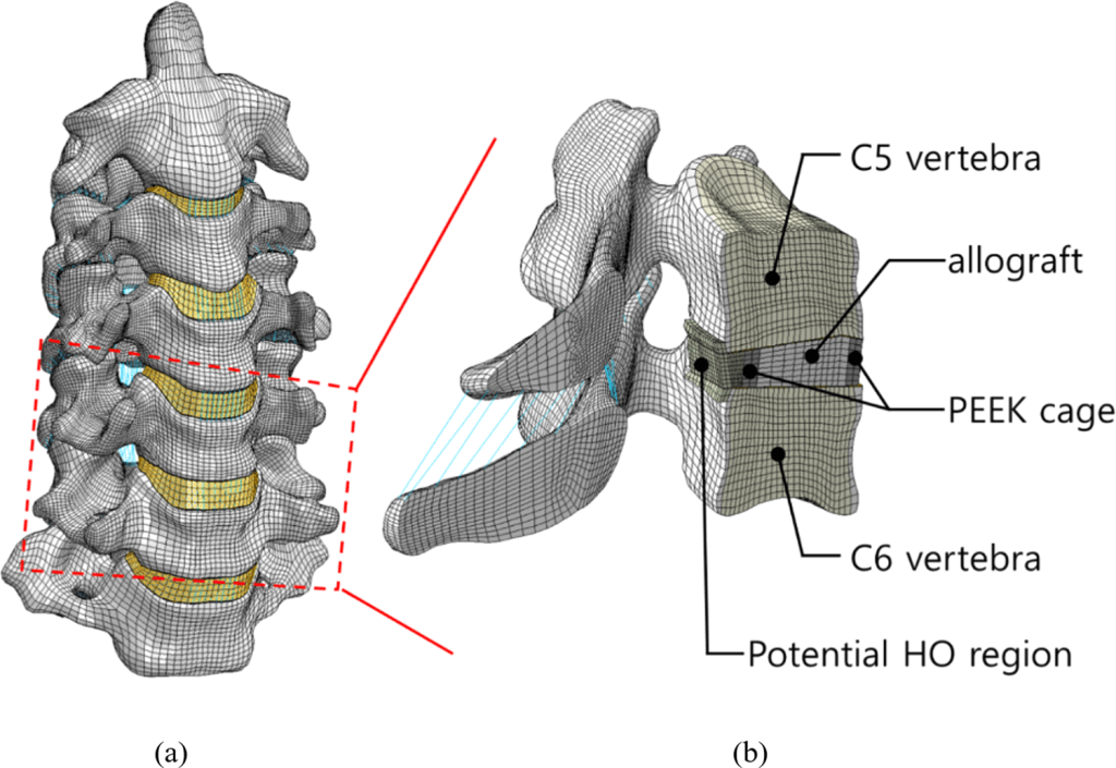 Why is the rate of fusion&nbsp;important?